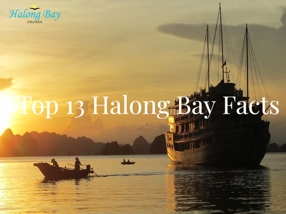 13 Halong Bay facts you should know before traveling Halong Bay