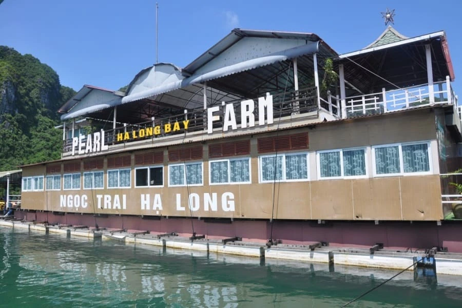 Tung Sau Pearl Farm