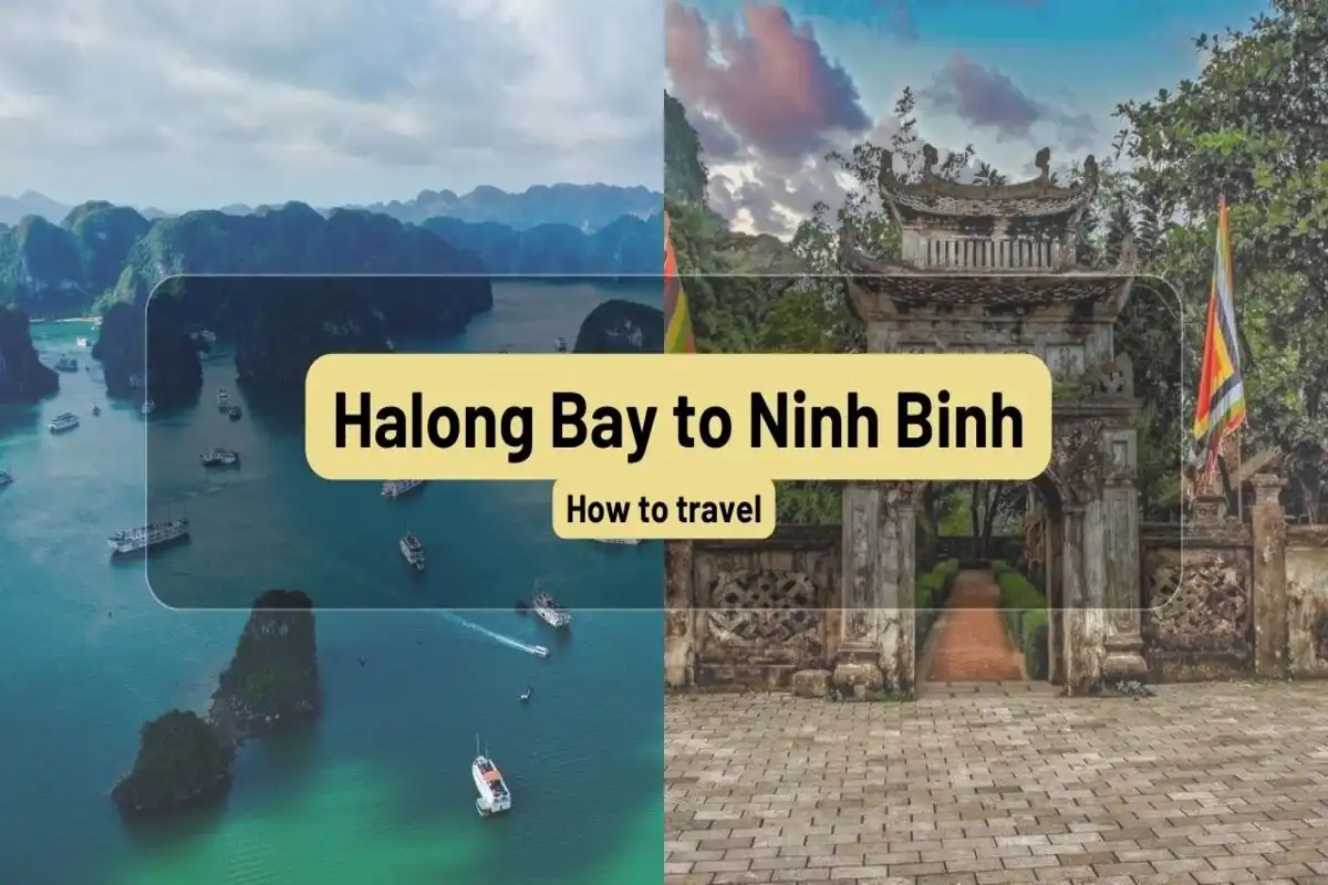 Halong Bay to Ninh Binh: By bus, motorbike or private car? Halong Bay