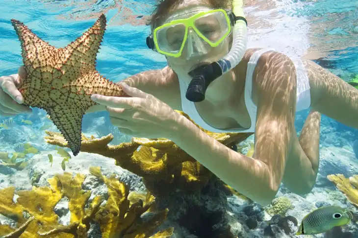 Best Things to do in Halong Bay
