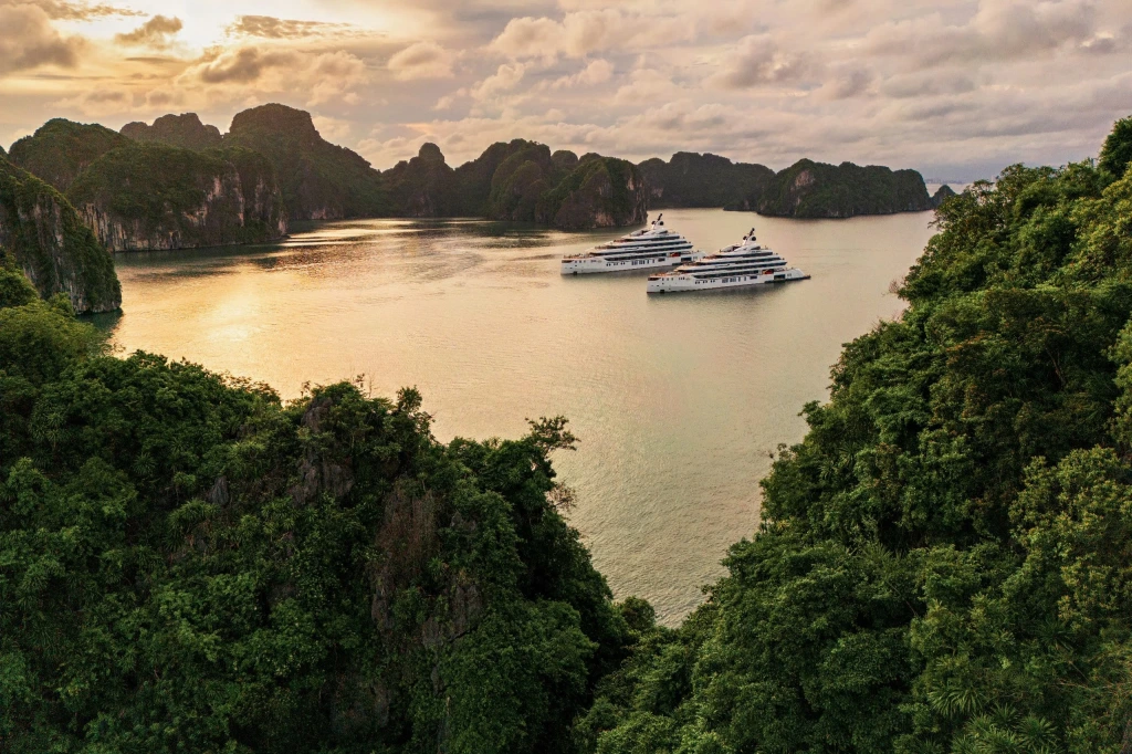 Luxury Cruises